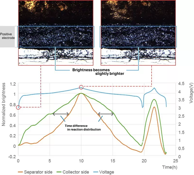 正極反応分布解析