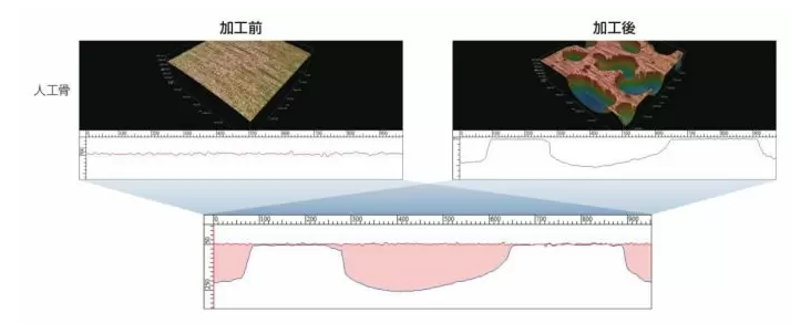 プロファイル比較