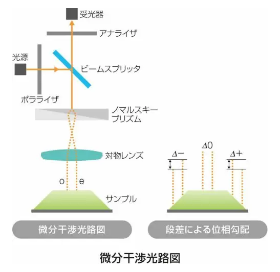 微分干渉光路図