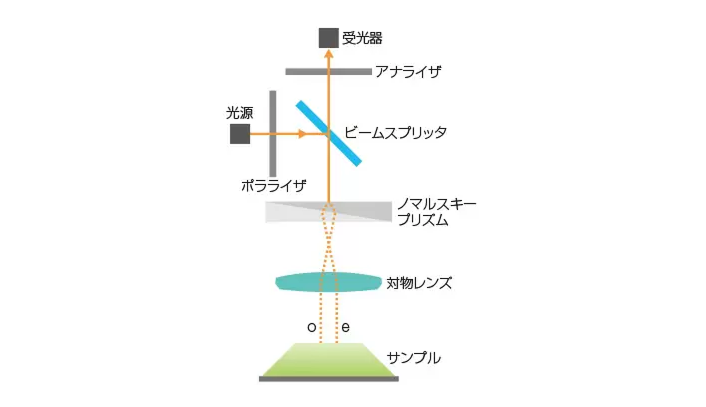 微分干渉の原理